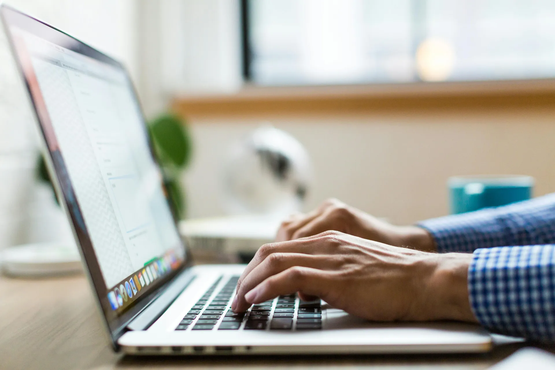 website management